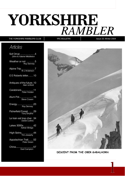 YRCJ 2004; 12(22) cover